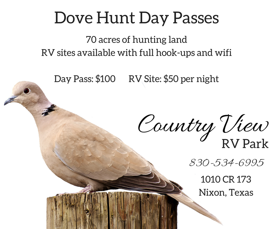 Dove Hunts available at Country View RV Park in Nixon, TX.